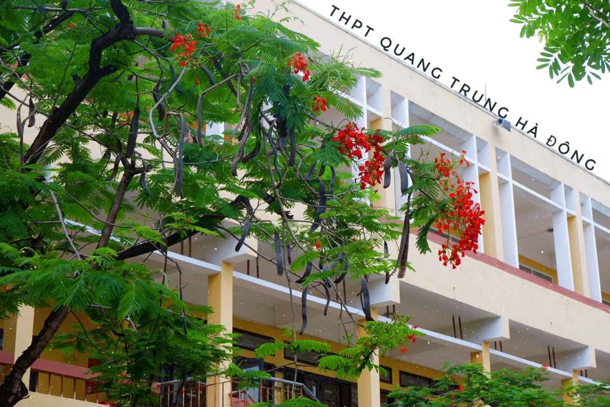 Trường THPT Quang Trung
