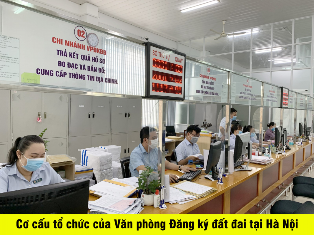 Cơ cấu tổ chức của Văn phòng Đăng ký đất đai tại Hà Nội 