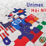 Công ty cổ phần liên hiệp xuất nhập khẩu và đầu tư Hà nội (Unimex hanoi)