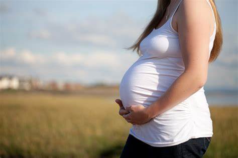Tra cứu tiền thai sản cần làm gì?