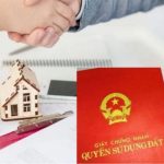 Thiết kế chưa có tên (8)