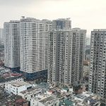 47-1664165008-chung-cu-50-nam-1