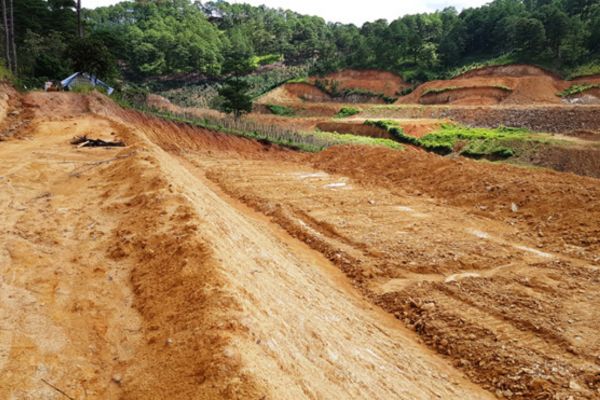 Lấn chiếm đất nông nghiệp