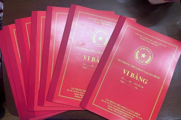 vi bằng xác lập quyền sở hữu