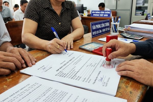 Công chứng hợp đồng thuê đất trồng cây