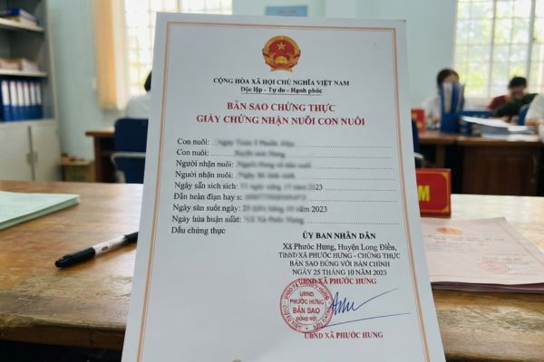 Chứng thực bản sao Giấy chứng nhận nhận nuôi con nuôi do UBND cấp